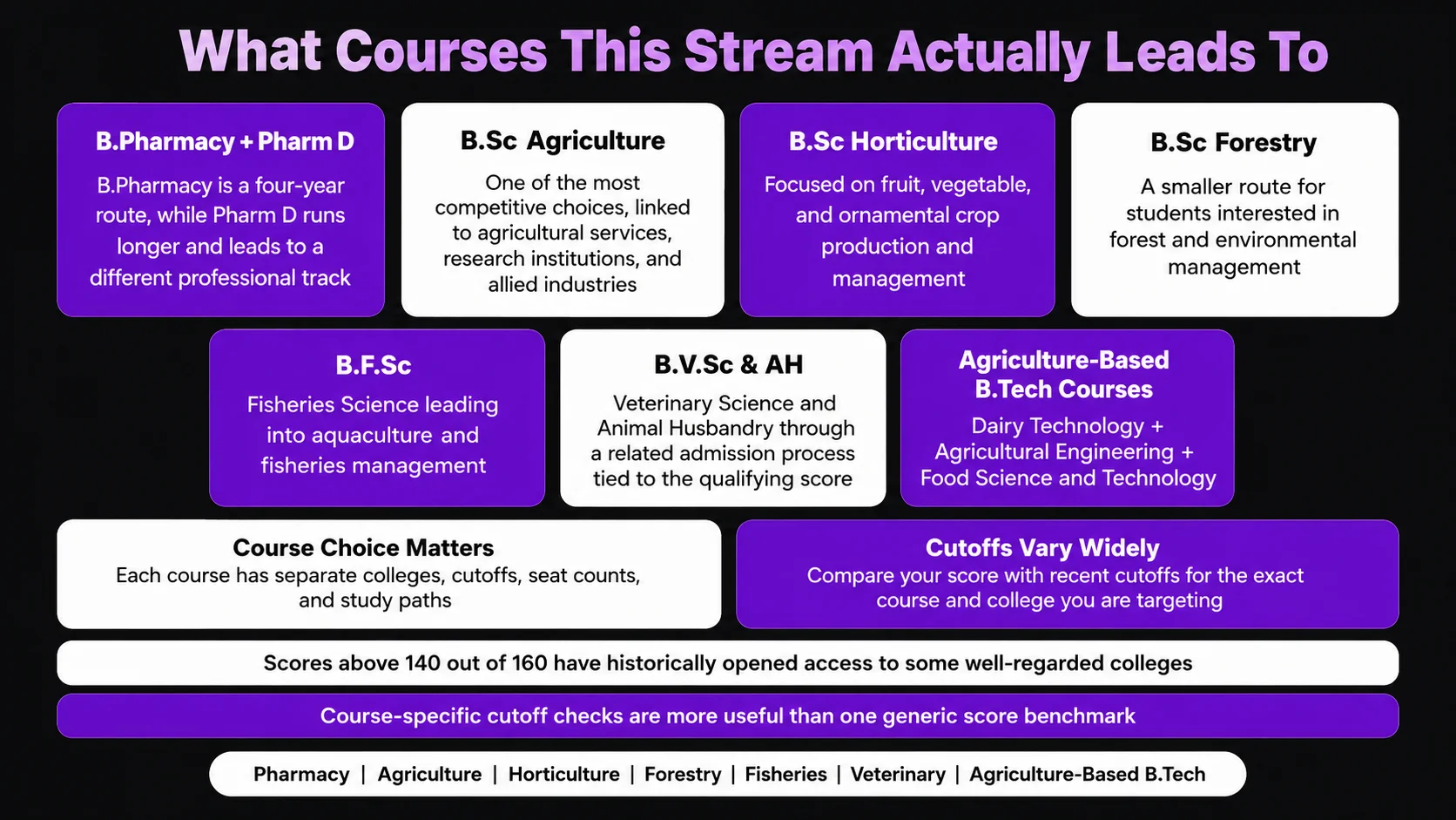 What Courses This Stream Actually Leads To